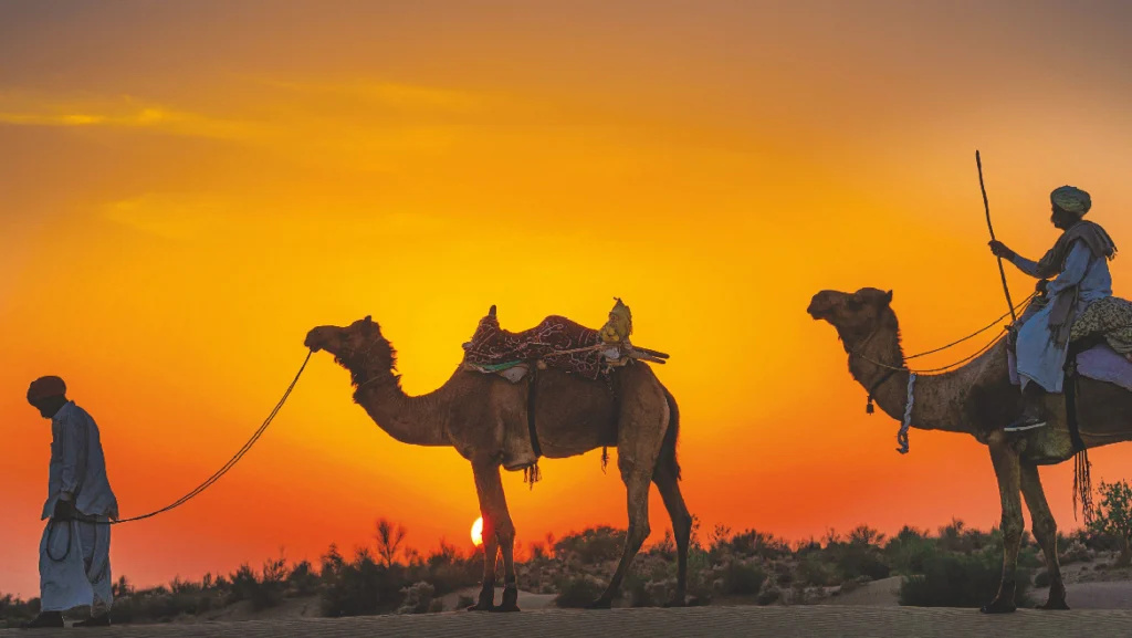 Desert Delight Jaisalmer Bikaner Tour Package