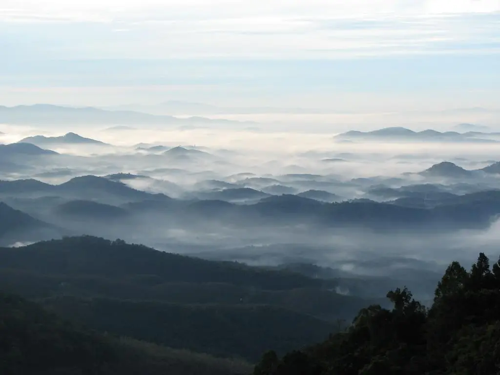 Wayanad Tour Package