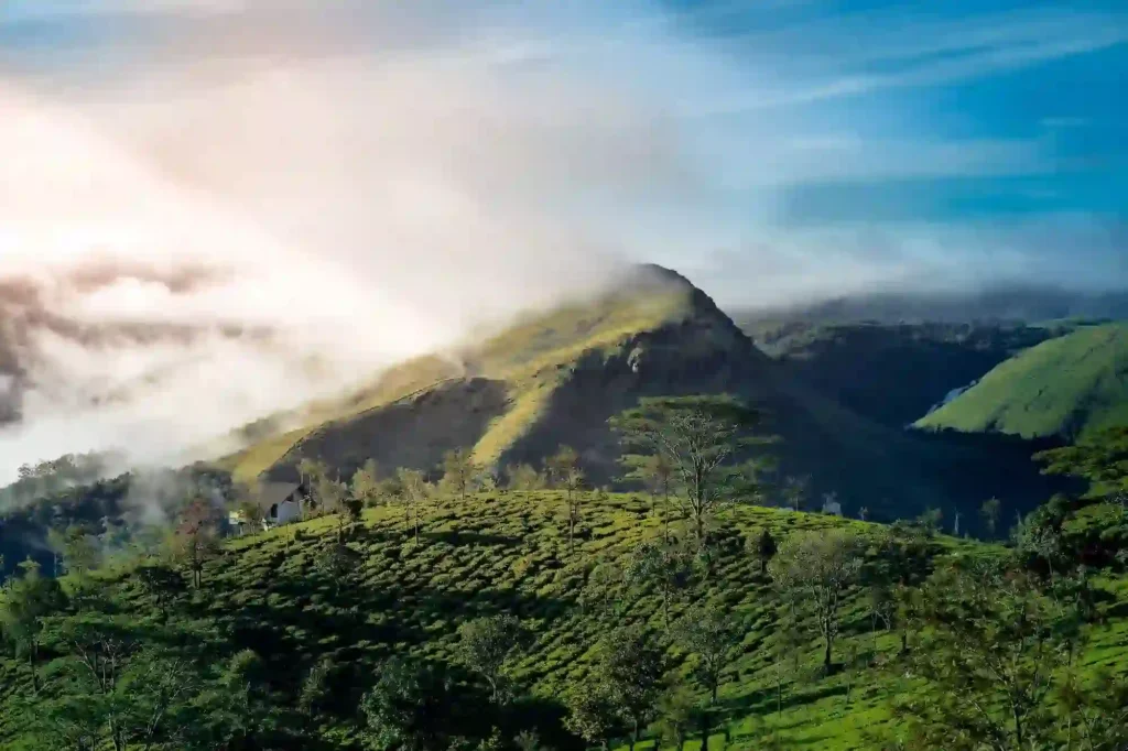 Splendid Vagamon Tour Package