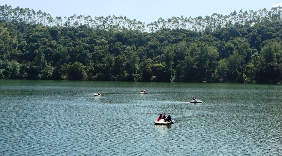A Blissfull Tour To Munnar