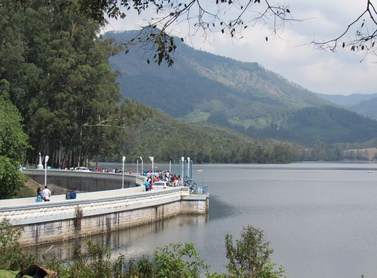 A Blissfull Tour To Munnar