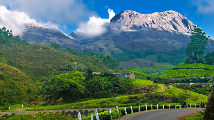 Mesmerizing Munnar & Thekkady Holiday Tour Package