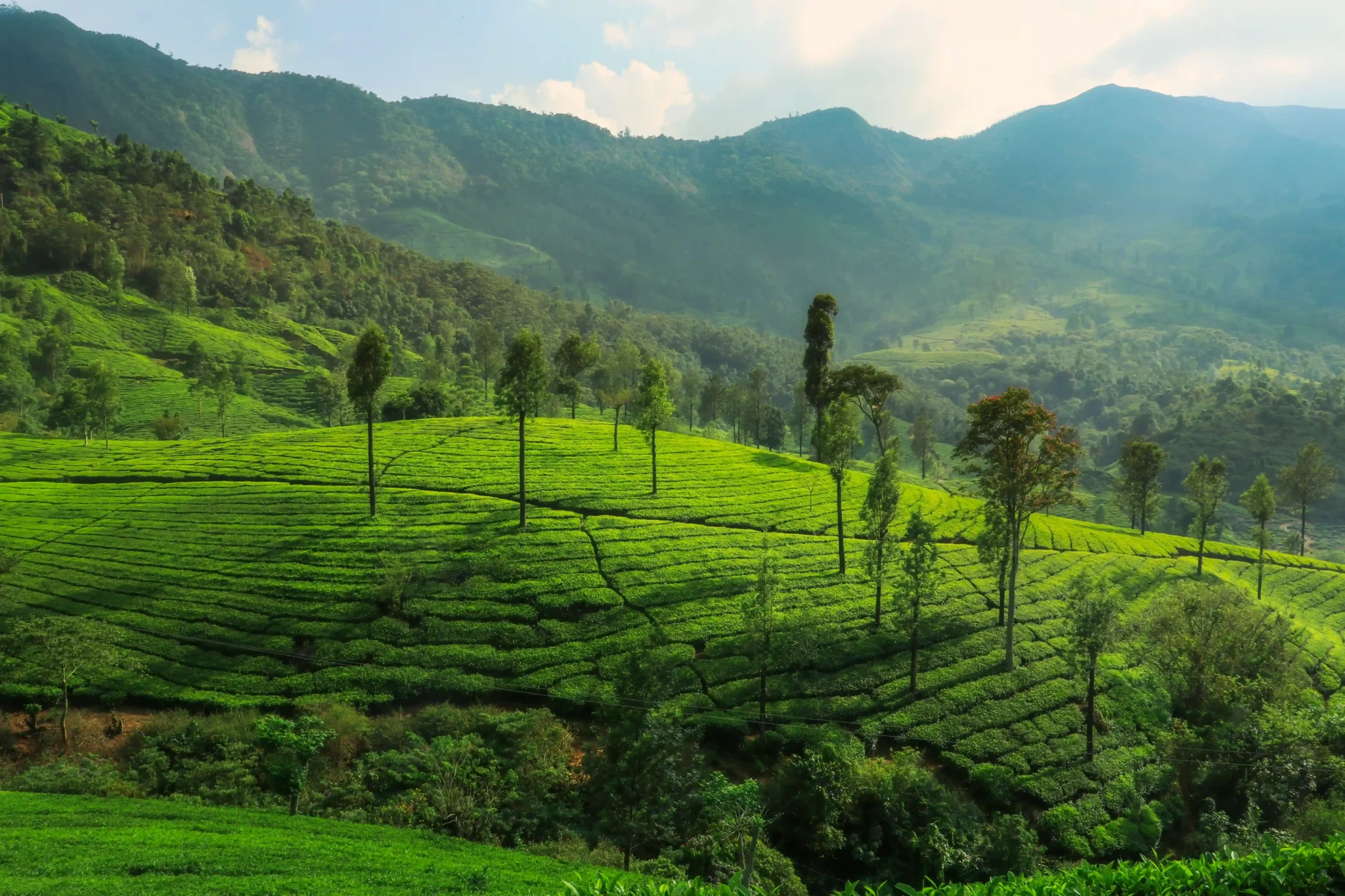 Splendid Vagamon Tour Package