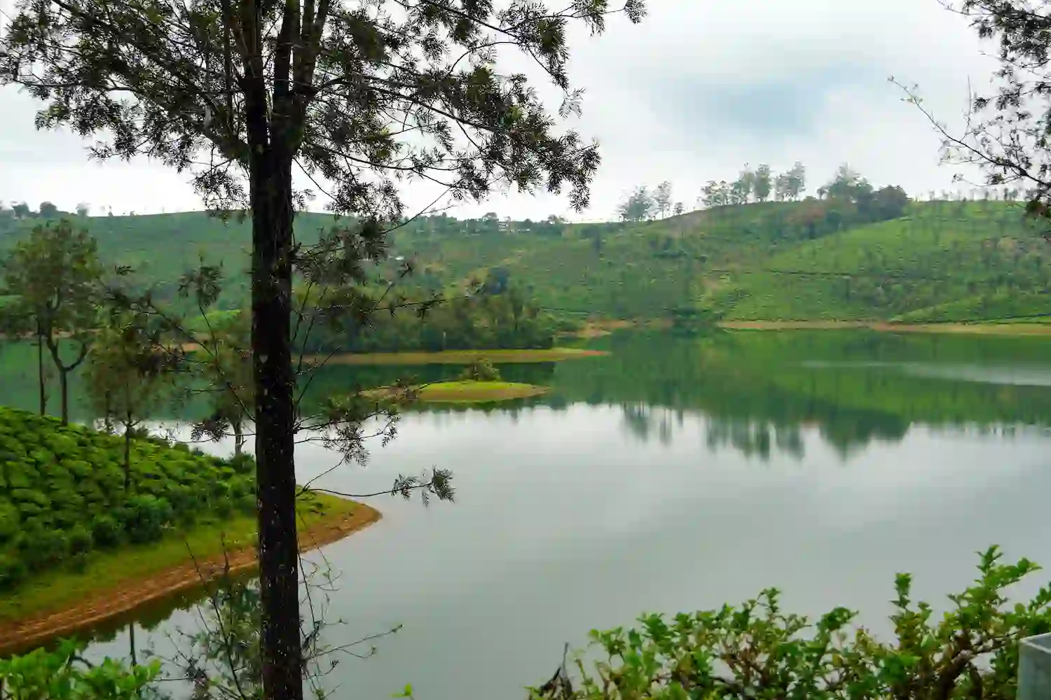 Splendid Vagamon Tour Package