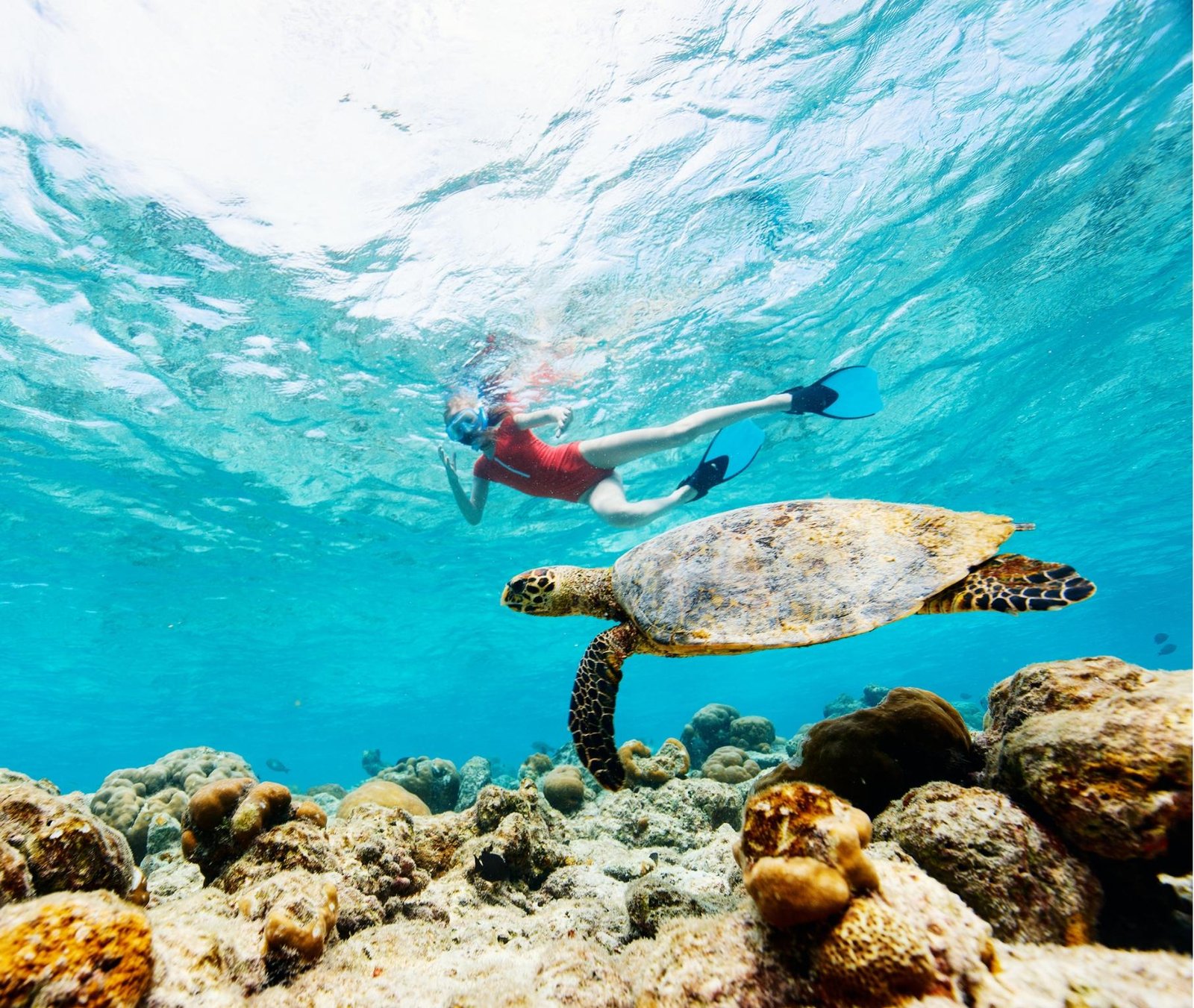 Andaman Escape
