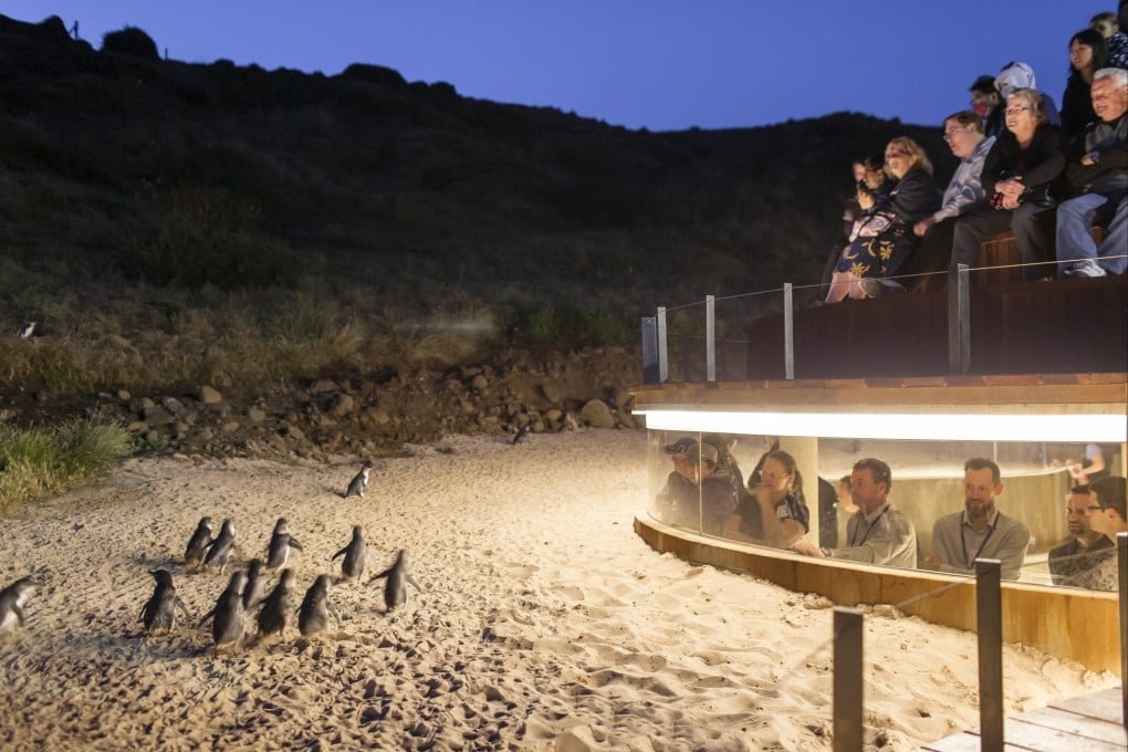 Australia Family Adventure