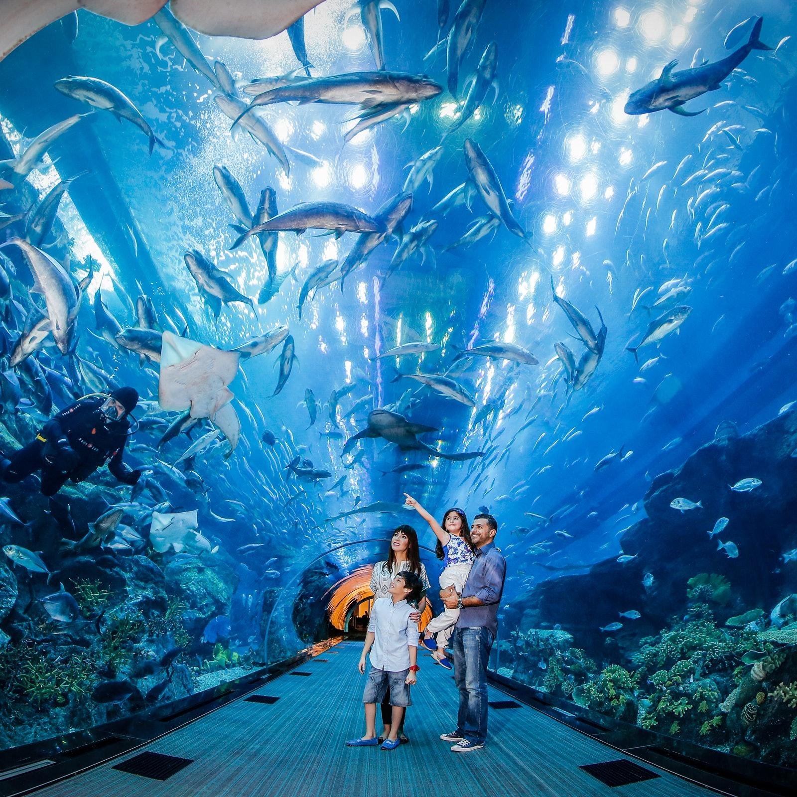 Dubai Family Fun