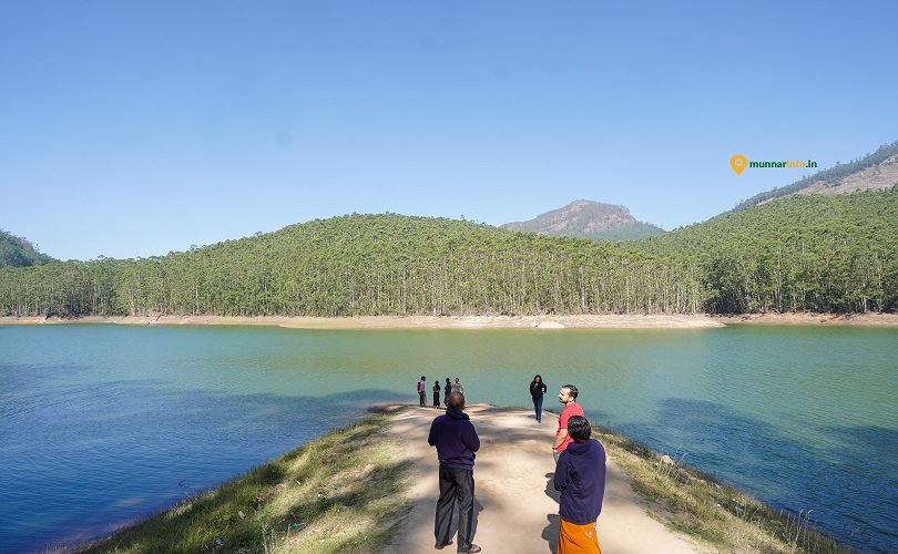 A Blissfull Tour To Munnar