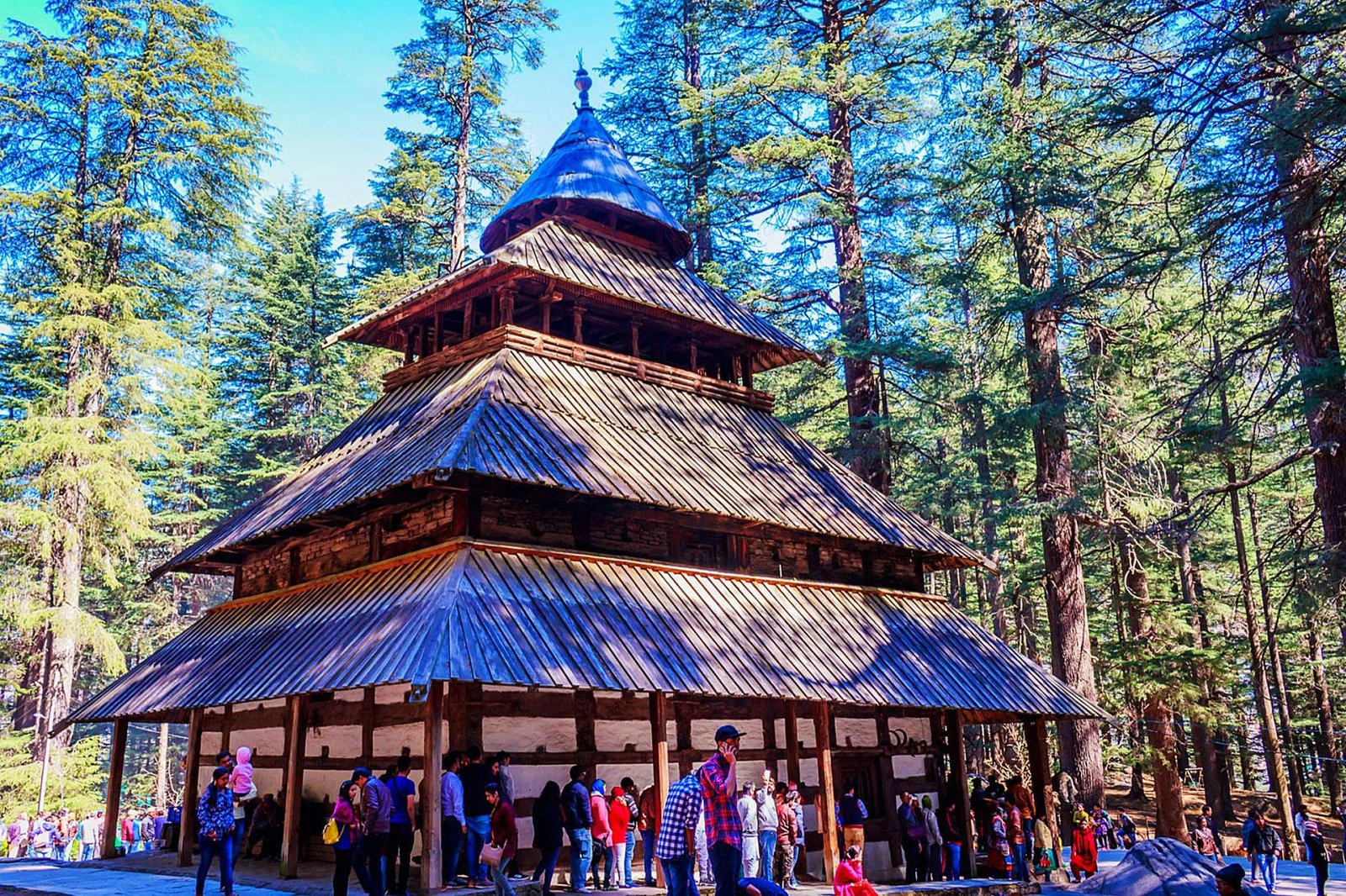Himachal Highlights