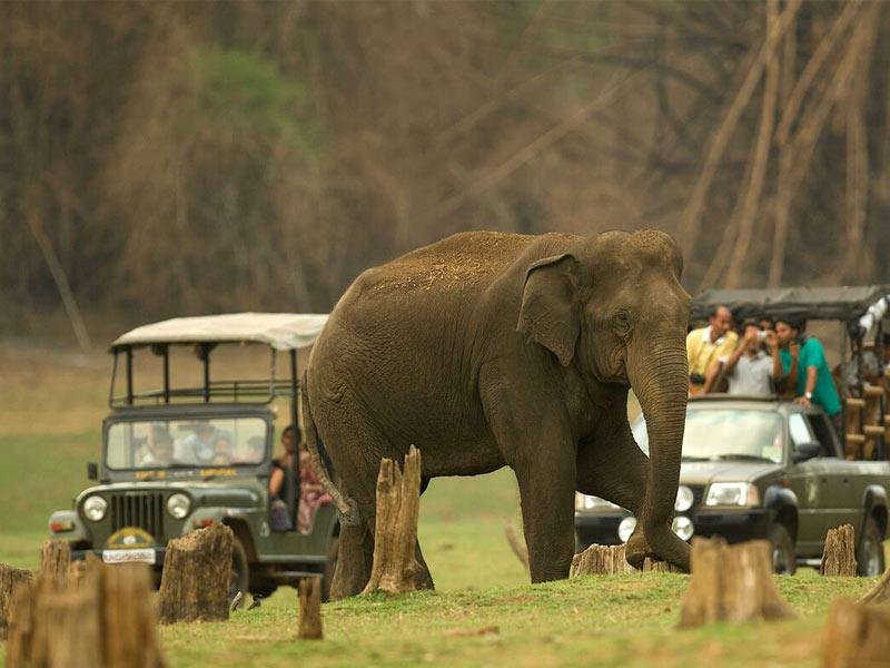 Karnataka Family Holiday