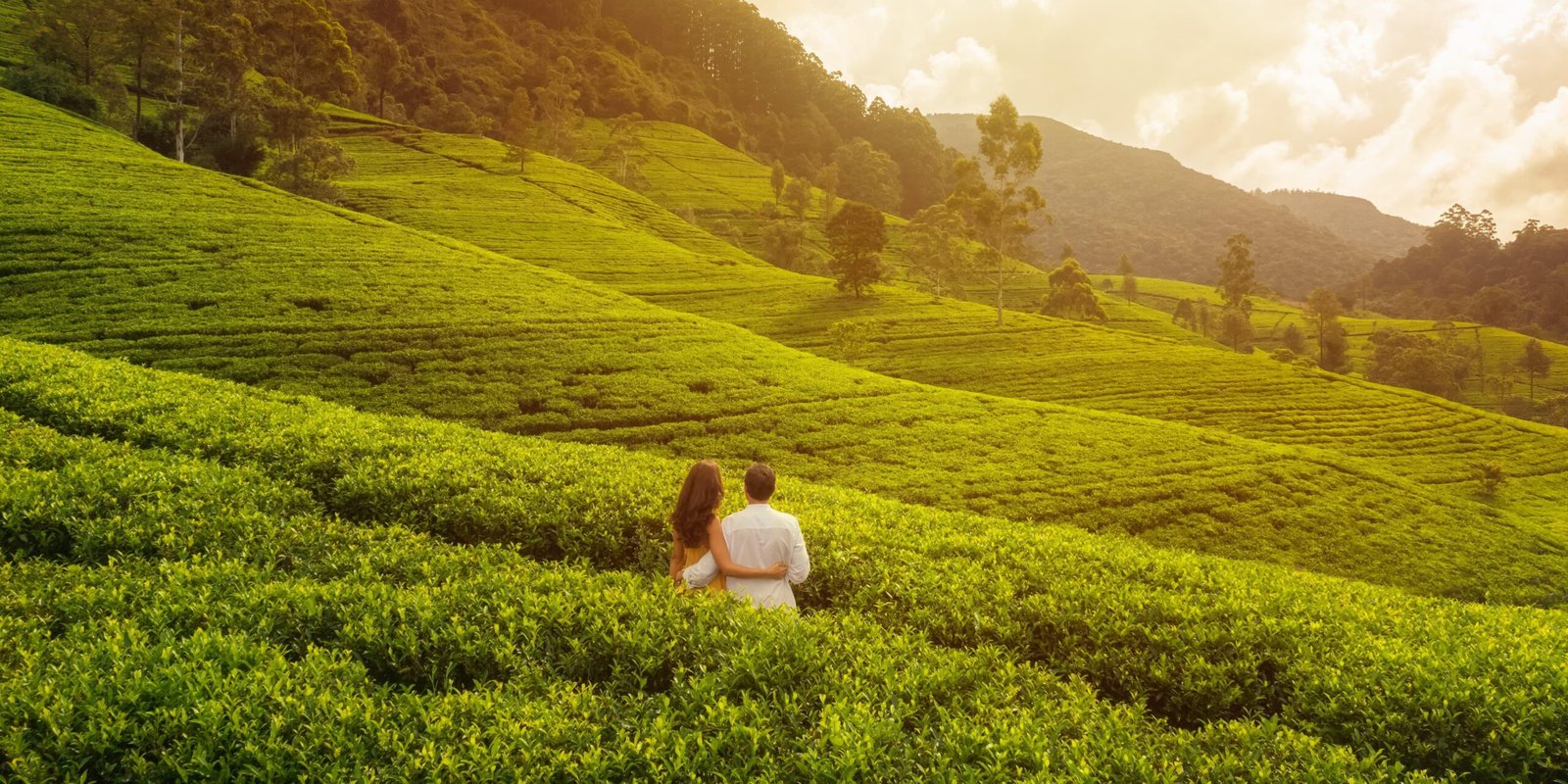 Kerala Premium Honeymoon
