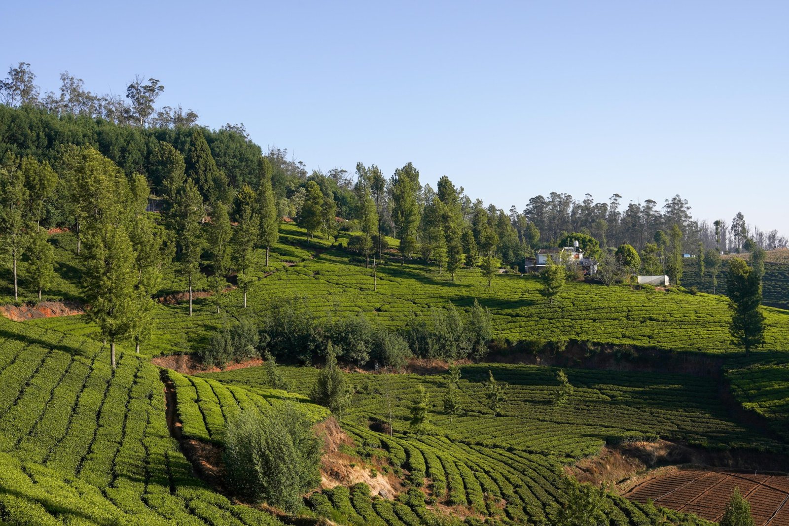 Bengaluru Coorg Ooty