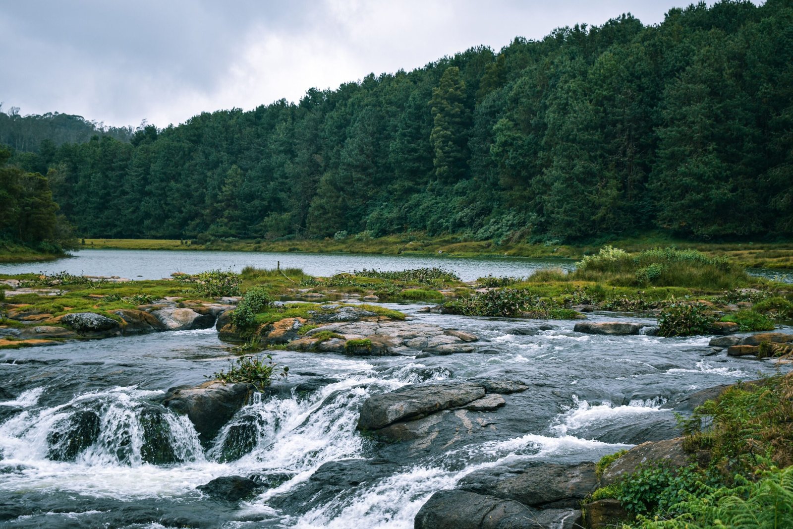 Bengaluru Coorg Ooty