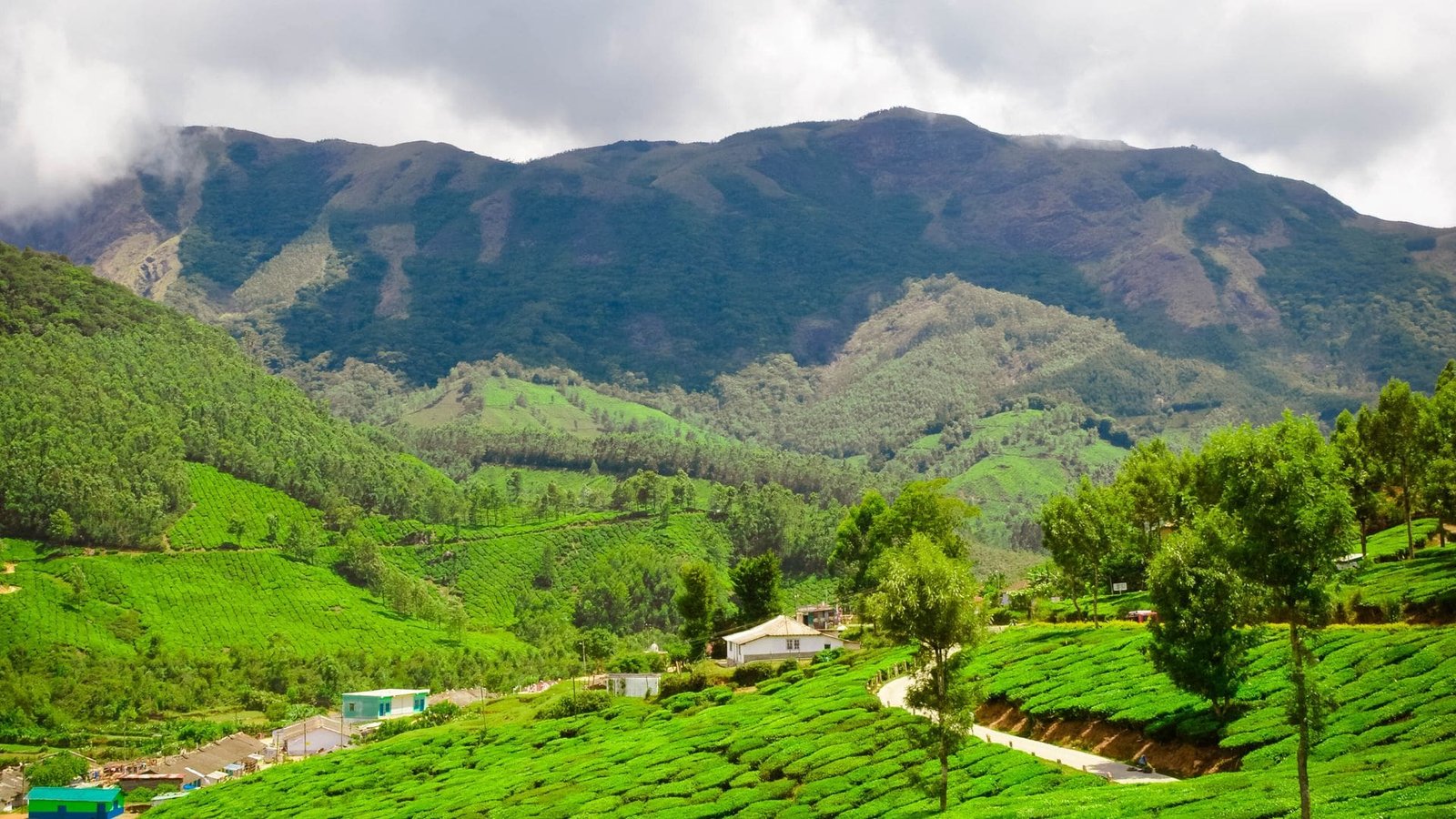Best Selling Kerala Tour with Munnar Thekkady and Alleppey Houseboat