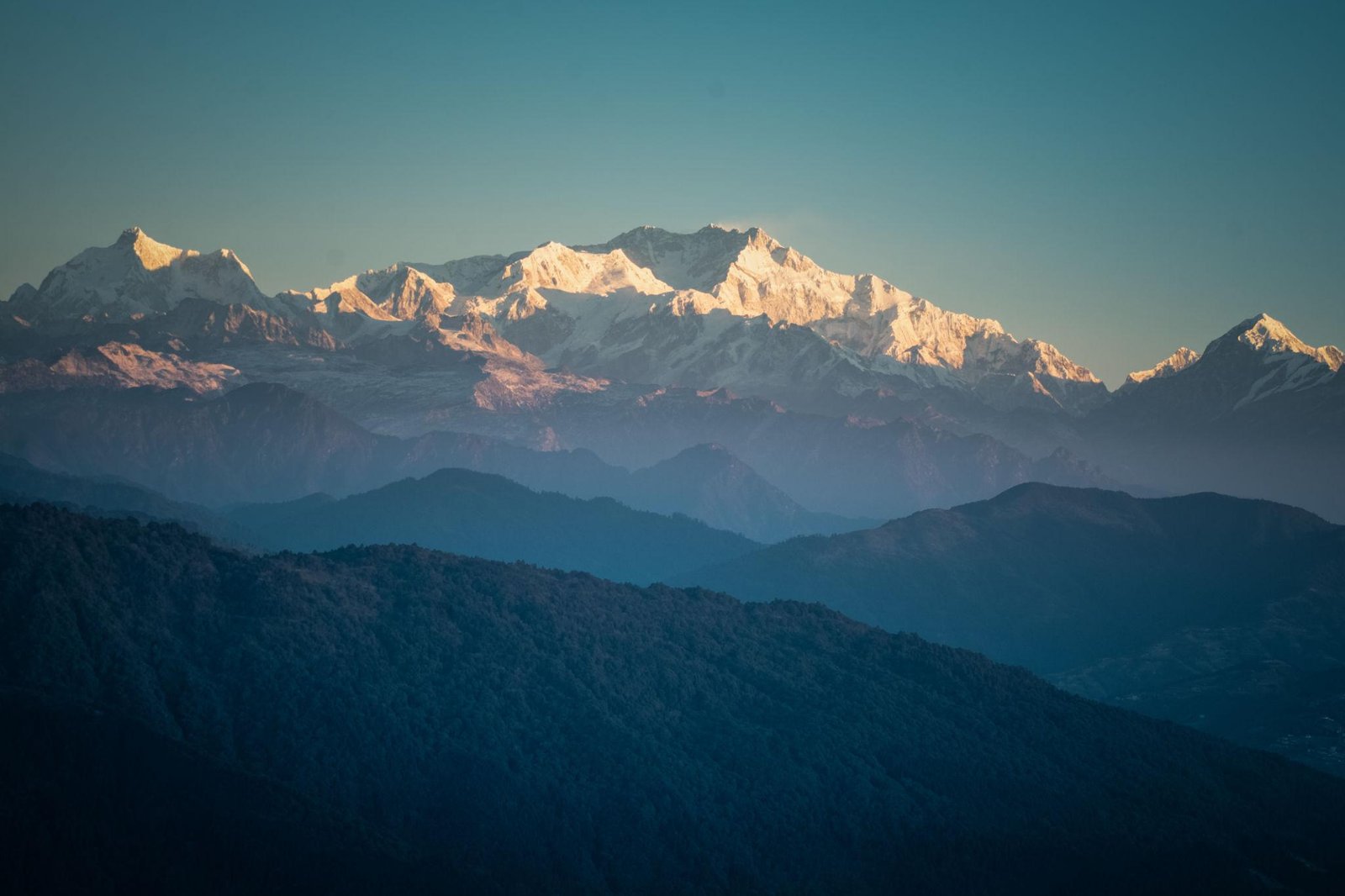 Darjeeling Tea Garden Escape