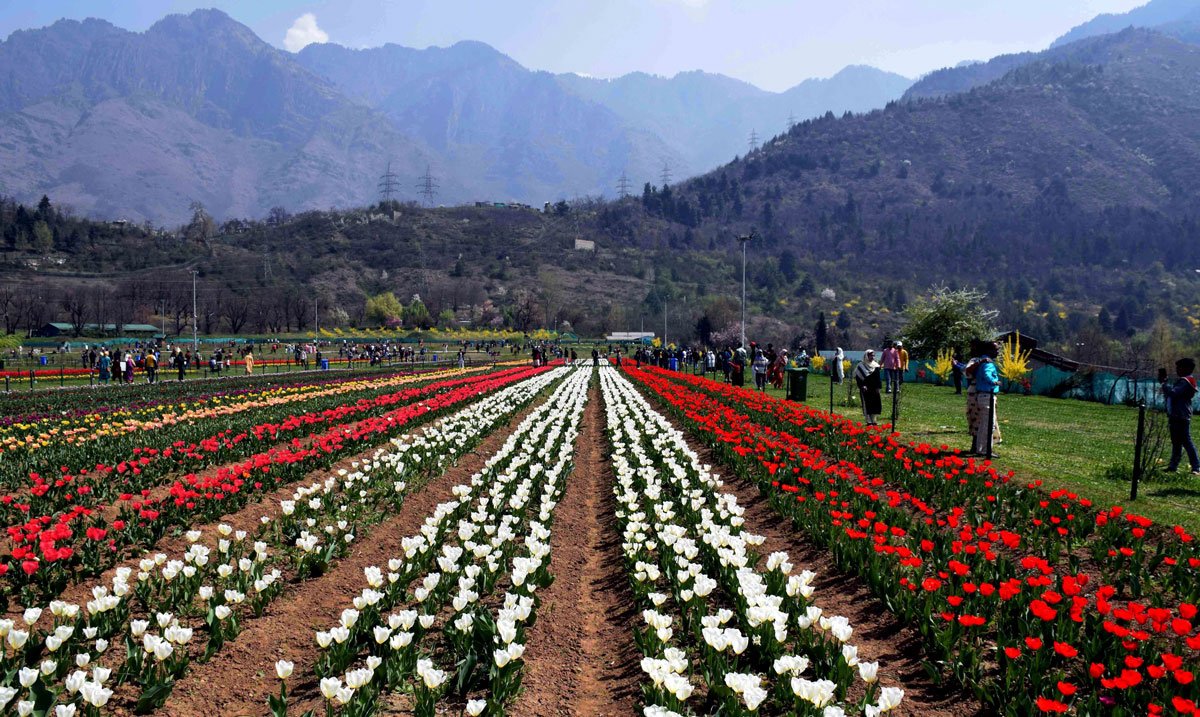 Budget Explorer – Srinagar, Gulmarg & Pahalgam