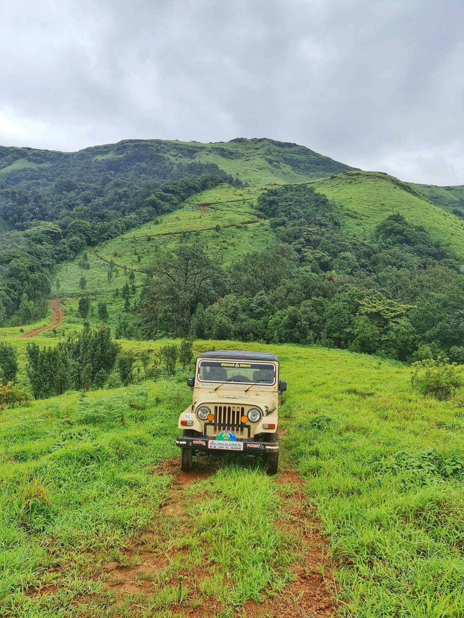 Chikkamagaluru Tour Package – Coffee Estates & Hill Station Escape