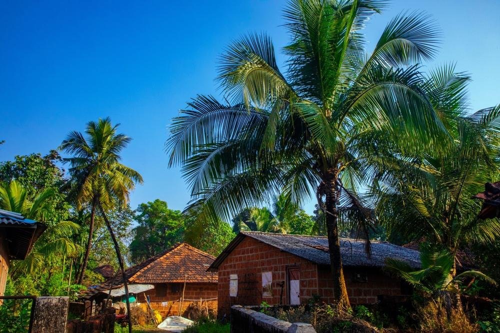 Konkan Coastal Villages & Seafood Trail
