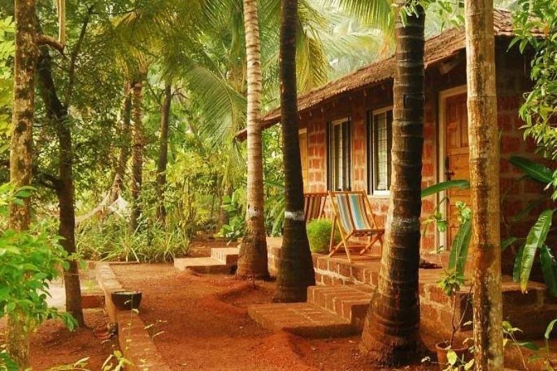 Konkan Coastal Villages & Seafood Trail