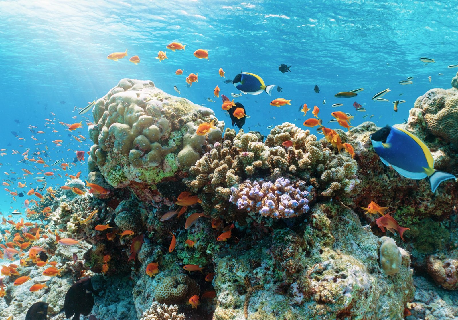 Maldives Coastal Adventure Retreat