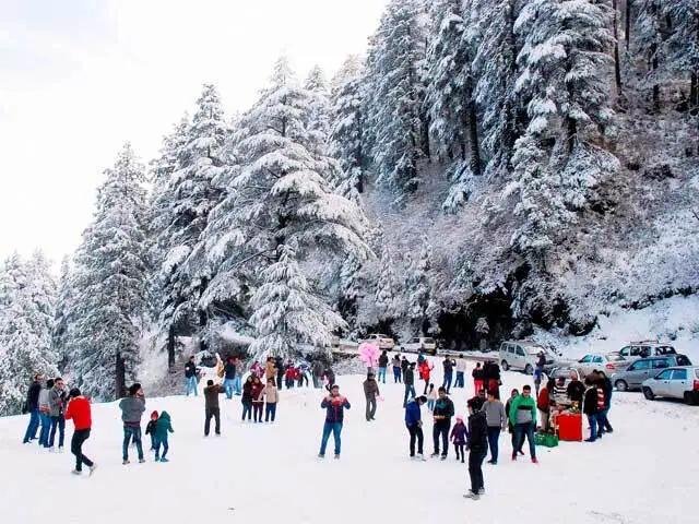 Best Shimla Kufri Chail Narkanda Snow Trip From Delhi