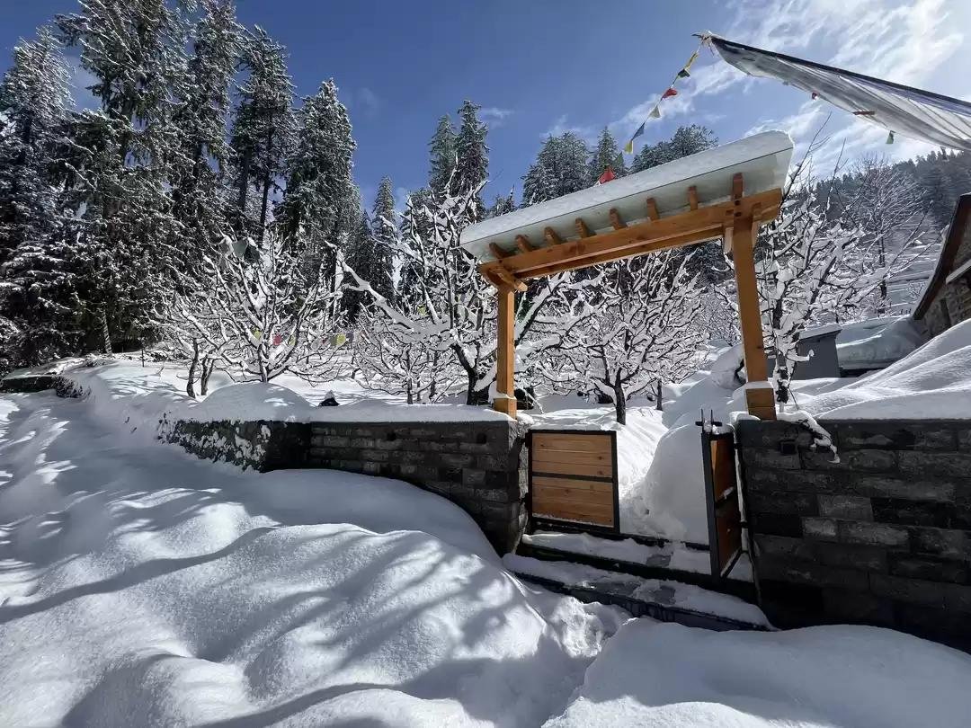 Manali Solang Sissu Sethan Snow Adventure